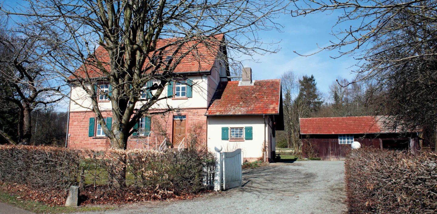Haus mit einer Einfahrt umgeben von Bäumen im Herbst.