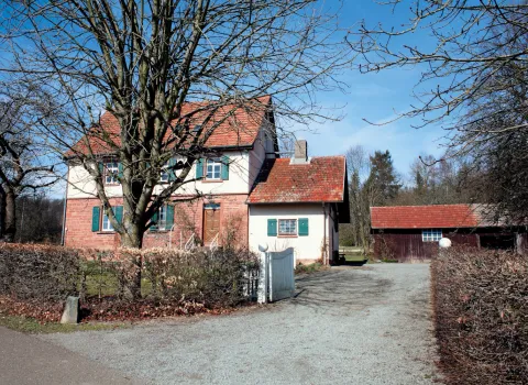 Haus mit einer Einfahrt umgeben von Bäumen im Herbst.